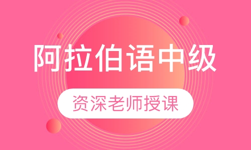 阿拉伯语中级