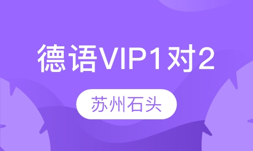 德语精品VIP1对2课程