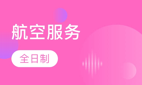 航空服务