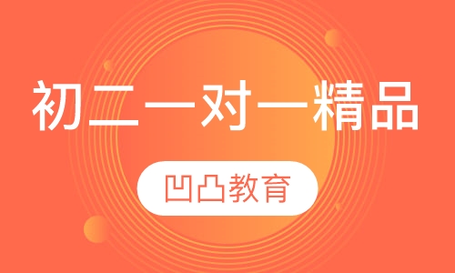 初二一对一精品课程