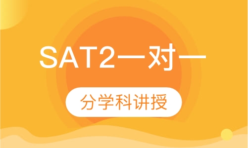 SAT2一对一