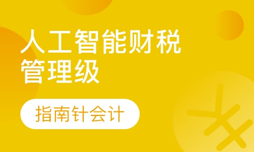 人工智能财税 管理级