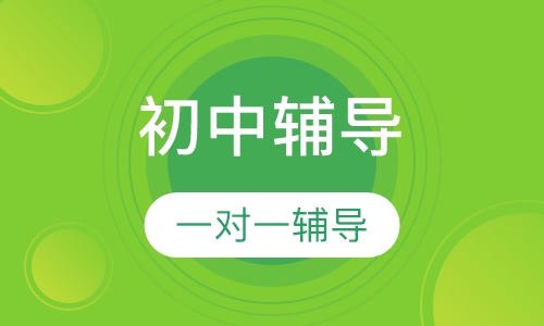 初中辅导