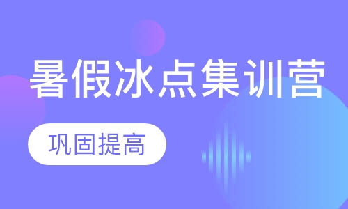 政英暑假冰点集训营
