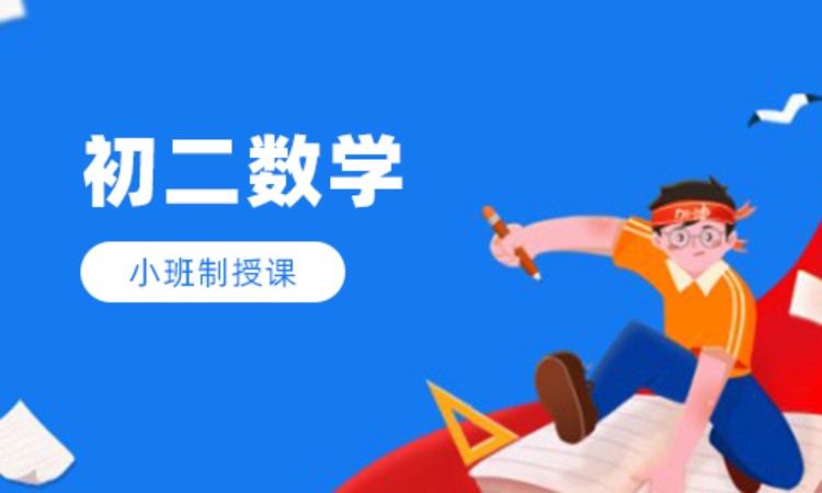 初二数学班课辅导
