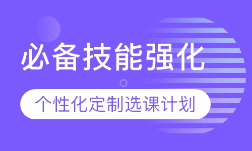 艺术作品集必备技能强化