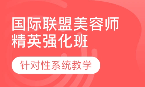国际联盟师精英强化班