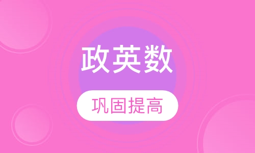 政英数暑假冰点集训营