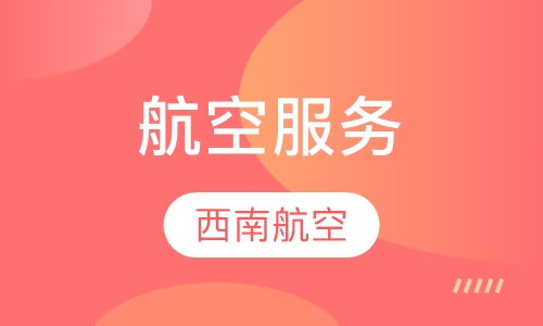 航空服务