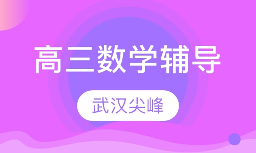 高三数学辅导