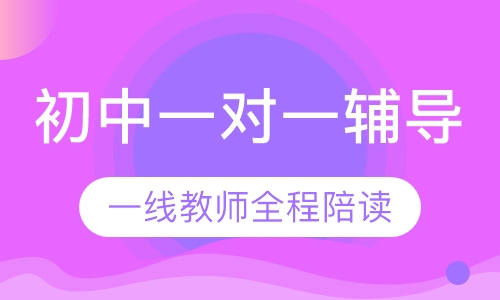 初中一对一辅导