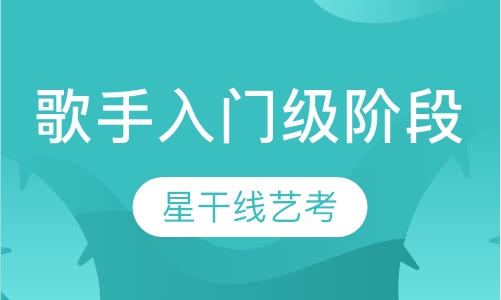 小星星歌手入门级阶段