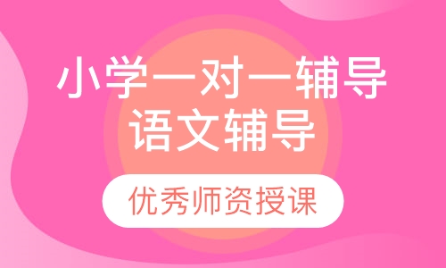 小学一对一辅导语文辅导