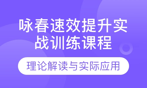 咏春速效提升实战训练课程
