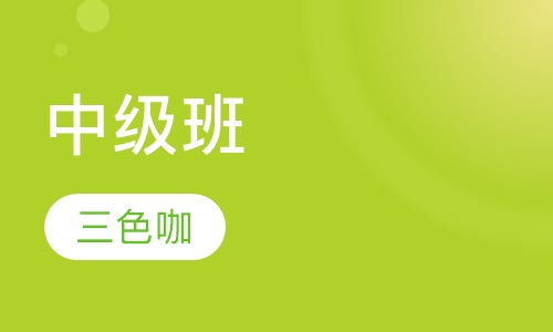 成人美术中级班