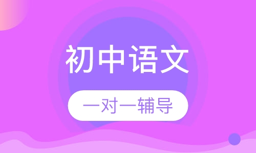 初中语文一对一辅导