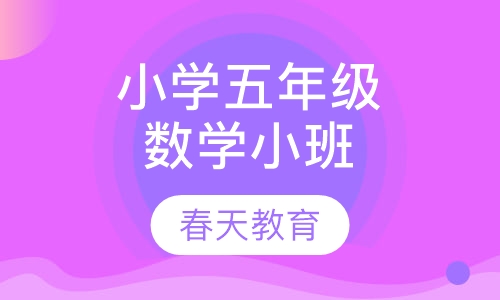 小学五年级数学小班辅导课程