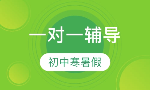 初中寒暑假一对一辅导