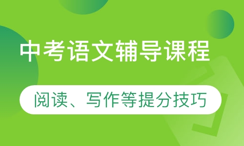 中考语文辅导课程