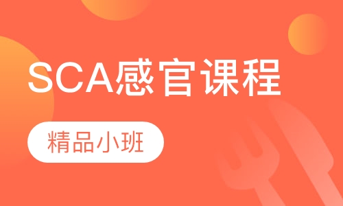咖啡SCA感官课程