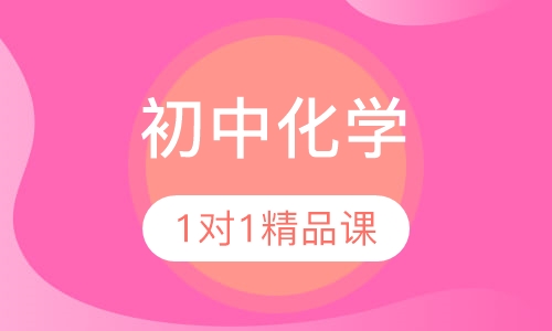 初中化学1对1VIP精品课程