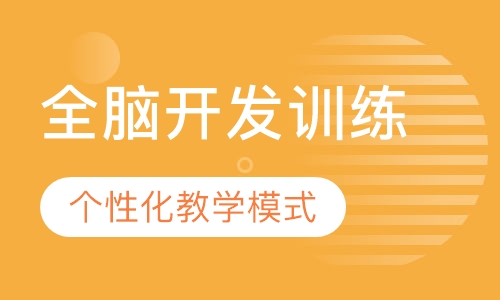 全脑开发训练课程