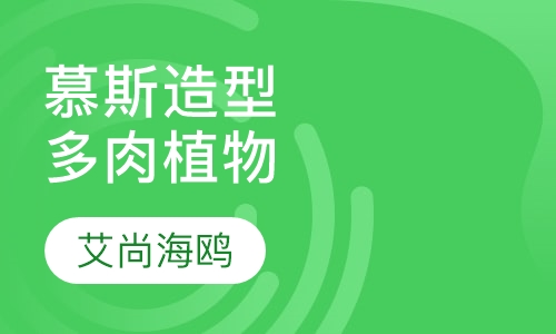 慕斯造型多肉植物课程