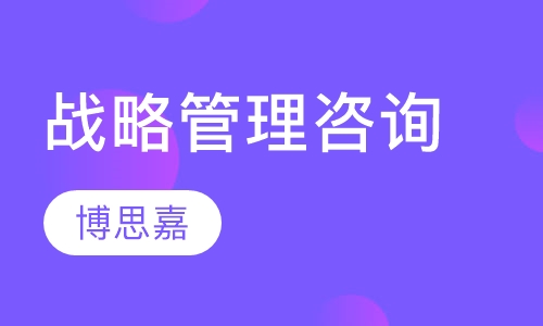 战略管理咨询项目