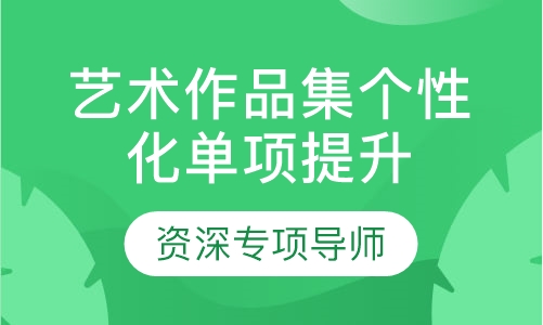 艺术作品集个性化单项提升课程
