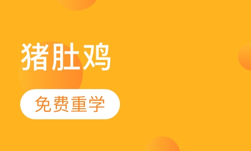猪肚鸡