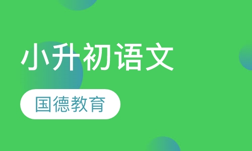 小升初语文