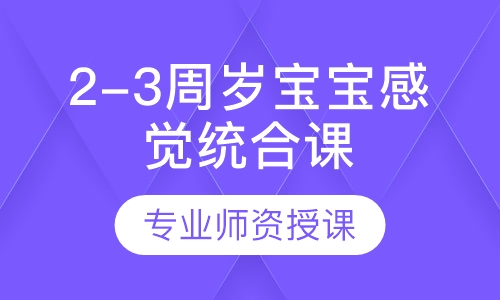 2-3周岁宝宝感觉统合课程