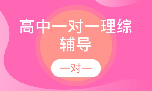 高中一对一理综辅导