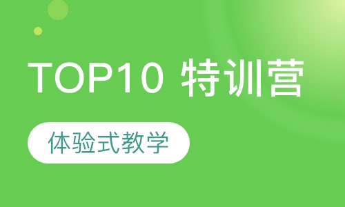 TOP10 特训营