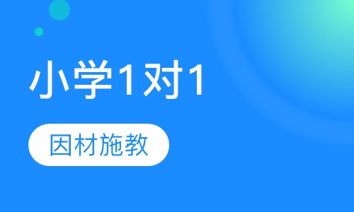 小学1对1