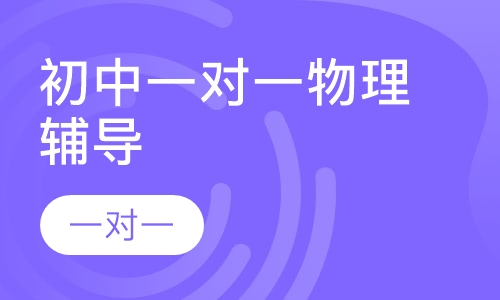 初中一对一物理辅导