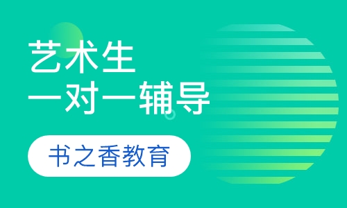 艺术生一对一辅导