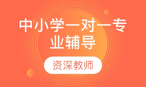 中小学一对一专业辅导