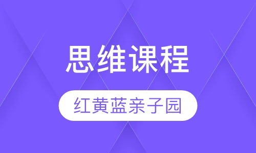 思维课程