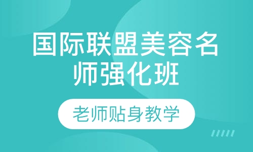 国际联盟名师强化班