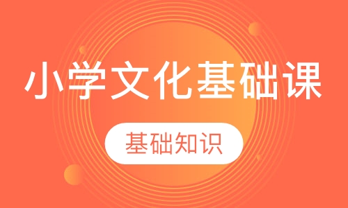 小学文化基础课