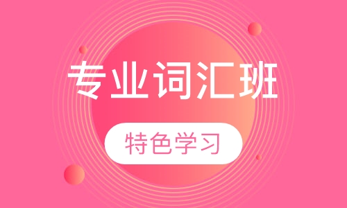专业词汇班