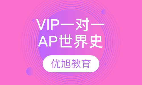VIP一对一AP 世界历史订制