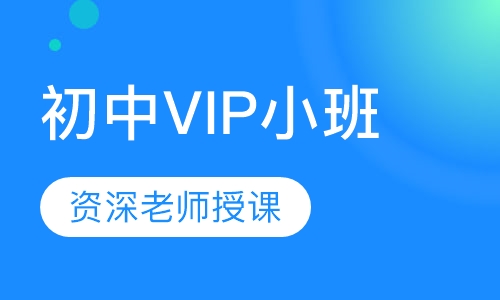初中VIP小班