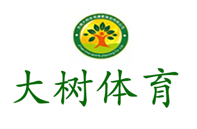 济南大树体育