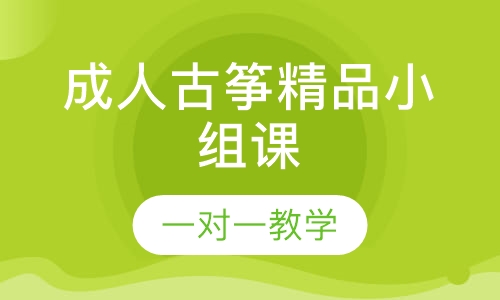 成人古筝精品小组课