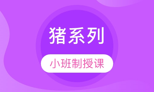 猪系列