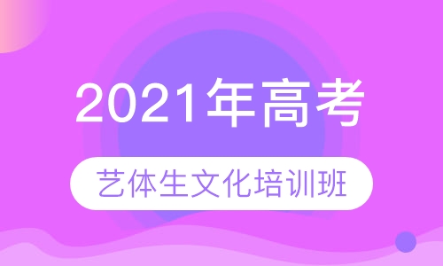 2021年高考艺体生文化课培训班