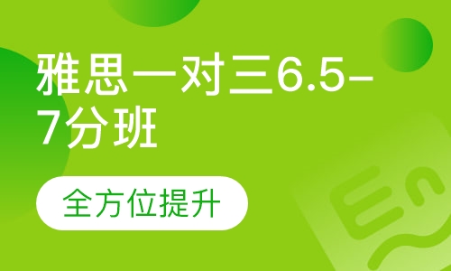 雅思一对三6.5-7分班