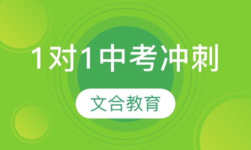 初三1对1针对性中考冲刺